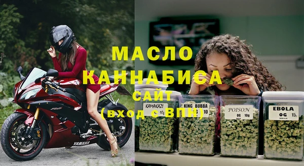 дмт Алзамай