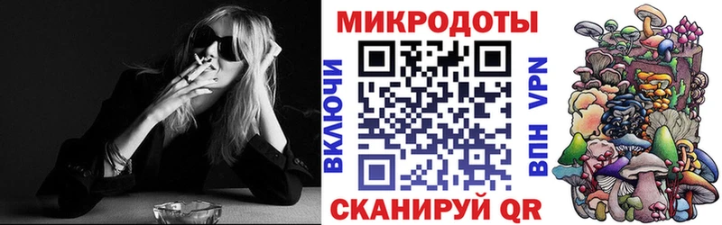 закладка  Красногорск  Галлюциногенные грибы Cubensis 
