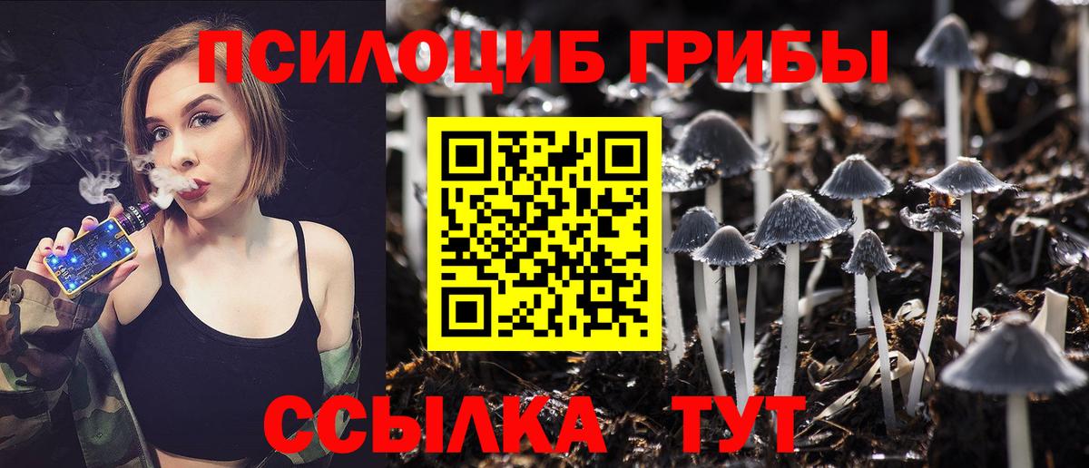 Псилоцибиновые грибы Psilocybine cubensis  Вход с VPN  Красногорск  Галлюциногенные грибы Cubensis 