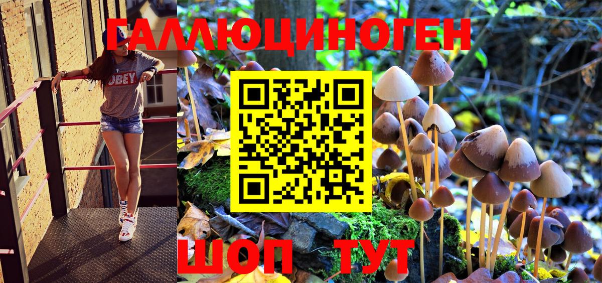 Псилоцибиновые грибы GOLDEN TEACHER Красногорск